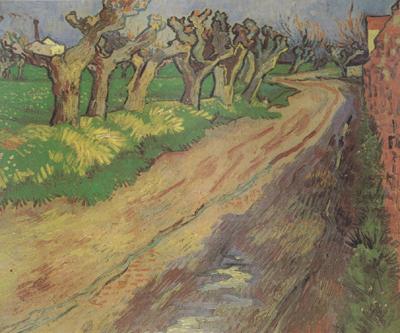 Vincent Van Gogh Pollard Willows (nn04) china oil painting image